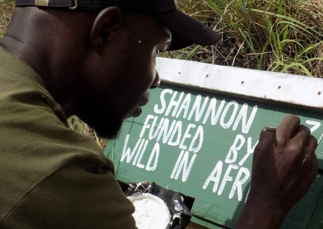 Shannon Funded By Wild In Africa