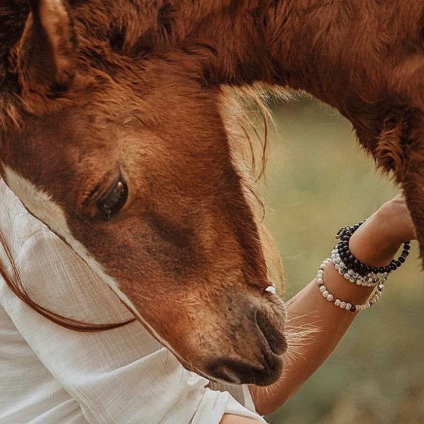 The Backwater Sanctuary - Horse Charity Bracelet